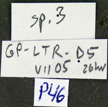 Media type: image;   Entomology 600496 Aspect: labels